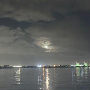 Meet your Posher, Martin